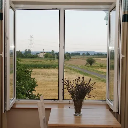 Lawendowe Siedlisko *